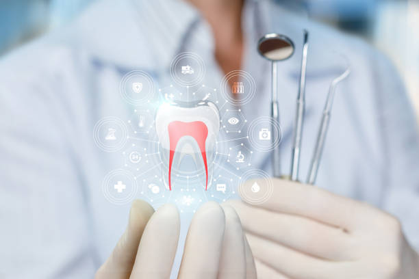 Trusted Somers, WI  Holistic Dental Services Experts